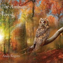Andy Rogers The Ambient Forest