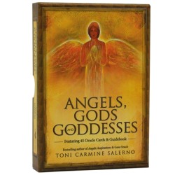 Angels Gods & Goddesses Toni Carmine Salerno