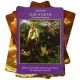 Archangel Power Tarot Radleigh Valentine