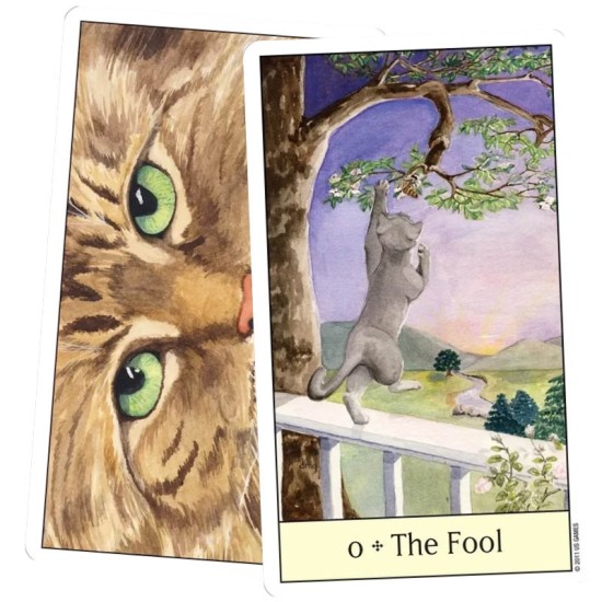 Cat's Eye Tarot Debra M. Givin