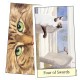 Cat's Eye Tarot Debra M. Givin