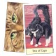 Cat's Eye Tarot Debra M. Givin