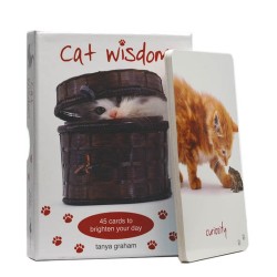 Cat Wisdom Tanya Graham