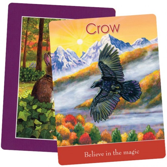 Children’s Spirit Animal Cards Steven Farmer