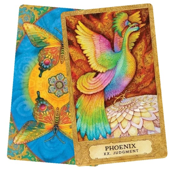 Chrysalis Tarot Deck and Book Set Holly Sierra