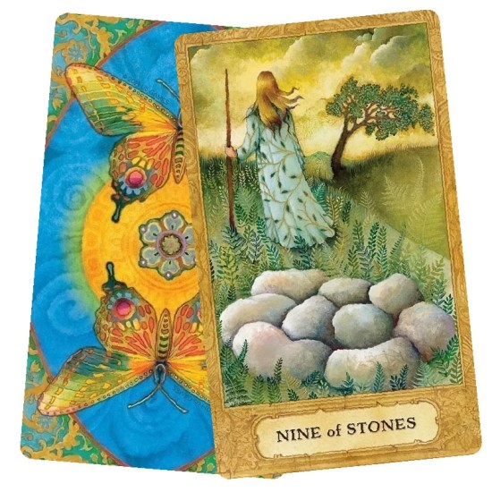 Chrysalis Tarot Deck and Book Set Holly Sierra