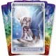 Conscious Spirit Oracle Deck Kim Dreyer