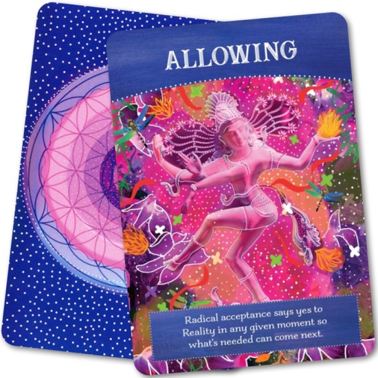 Divine Abundance Oracle Cards Tosha Silver