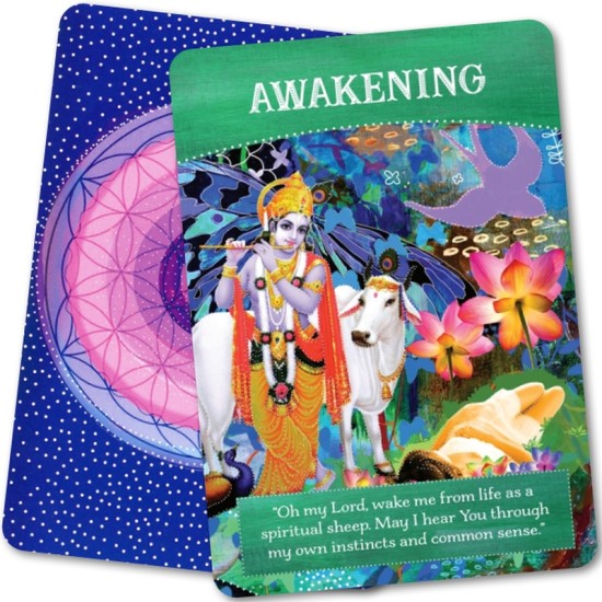 Divine Abundance Oracle Cards Tosha Silver