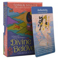 Divine Beloved Oracle Tosha Silver