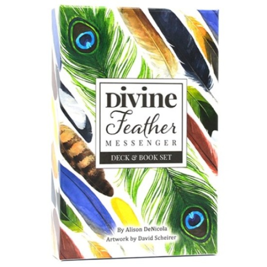 Divine Feather Messenger Alison DeNicola