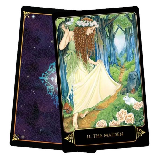 Dreams of Gaia Tarot Set Ravynne Phelan