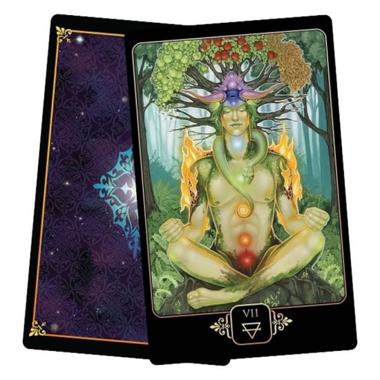 Dreams of Gaia Tarot Set Ravynne Phelan