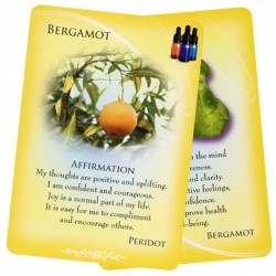 Essential Oils & Gemstone Guardians Cards Margaret Ann Lembo
