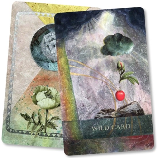 Faceted Garden Oracle Deck Claire Mack