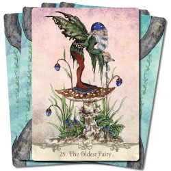 Fairy Wisdom Oracle Set Nancy Brown