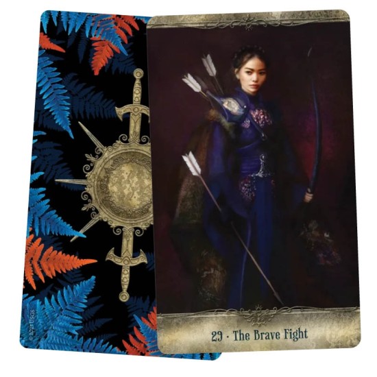 Fight Like A Girl Oracle Deck Bente Schlick