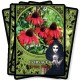 Flower Magic Oracle Cards Rachel Patterson