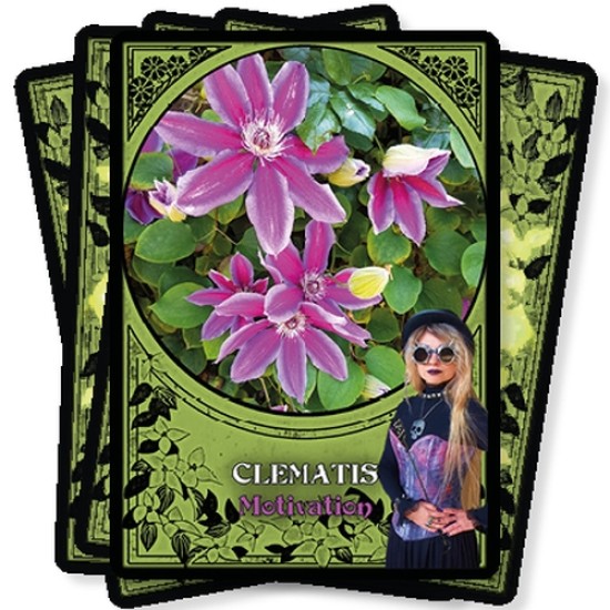 Flower Magic Oracle Cards Rachel Patterson