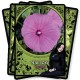 Flower Magic Oracle Cards Rachel Patterson