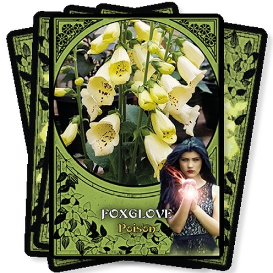 Flower Magic Oracle Cards Rachel Patterson