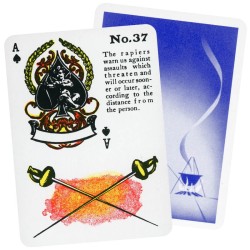 Gypsy Witch Fortune Telling Cards Deck & Book Set Fabio Vinago