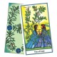 Herbal Tarot Deck Candis Cantin