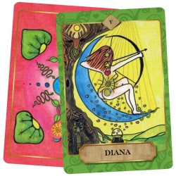 Innerlijk Leiderschap Voor Vrouwen Tarot Willemijn Bijl