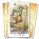 Joie de Vivre Tarot Paulina Fae (aka Paulina Cassidy)