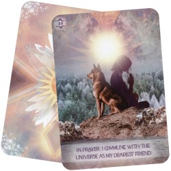 Law of Positivism Healing Cards Shereen Oberg