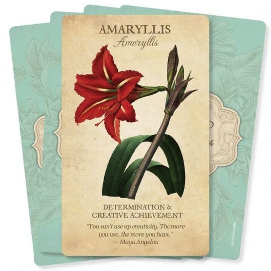 Botanical Inspirations Deck and Book Set Lynn Araujo