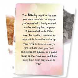 Cat Wisdom Tanya Graham