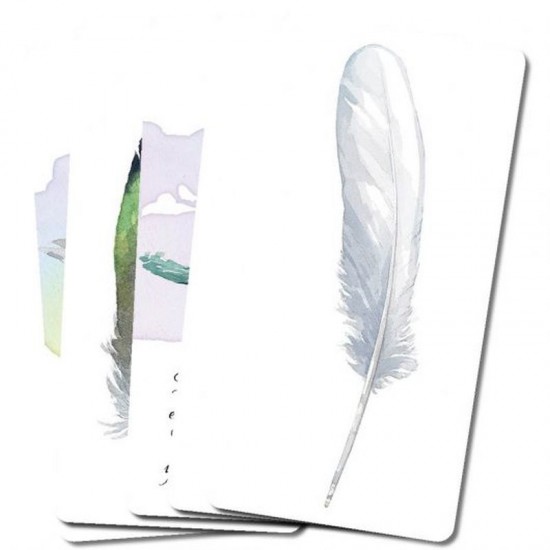 Divine Feather Messenger Alison Denicola