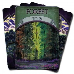 Earth Magic Oracle Cards Steven Farmer