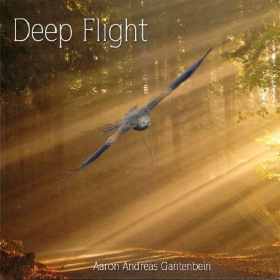 Aaron Andreas Gantenbein Deep Flight