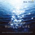 Ashaneen Waves of Life