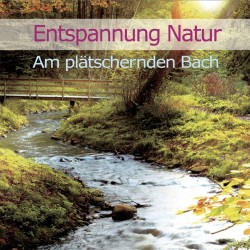 Entspannung Natur Am platschernden Bach