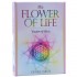 Flower Of Life Cards Denise Jarvie