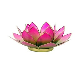 Lotus Capiz Sfeerlicht Groen-Roze