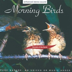 Morning Birds Sounds Of The Earth