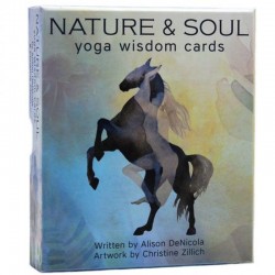 Nature and Soul Yoga Wisdom Cards Alison DeNicola