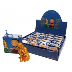 Ngalso Boeddha Gold Box 24 stuks