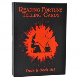 Reading Fortune Telling Cards Deck and Book Set Fabio Vinago