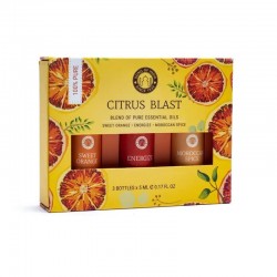 Song of India Aromatherapie Box Citrus Blast 3x 5ml Etherische Olie