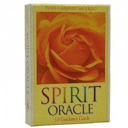 Spirit Oracle Toni Carmine Salerno