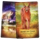 The Ark Animal Tarot & Oracle Deck Expansion Pack Bernadette King