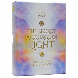 The Secret Language of Light Denise Jarvie