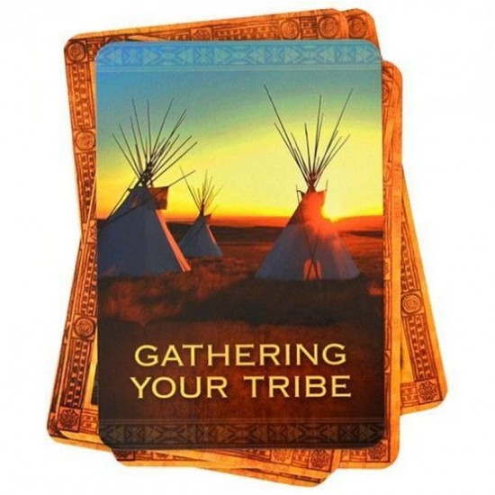 Native Spirit Oracle Cards Denise Linn