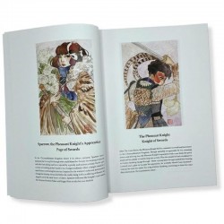 The Botan Tarot Anthology Zine Addi Miyako