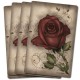 Under the Roses Lenormand Katrina Hill